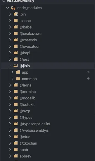 node modules directory