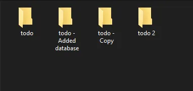 Project structure without git